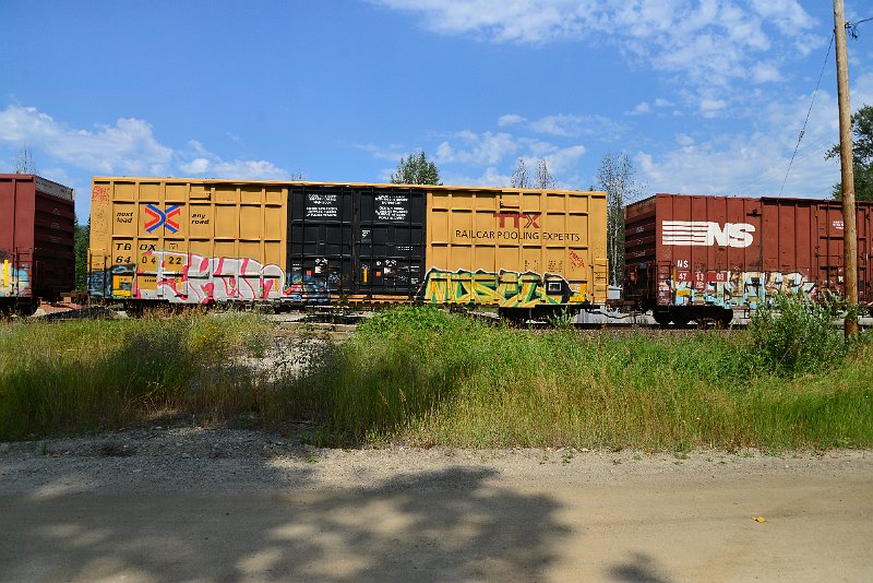 DSC_0537.JPG