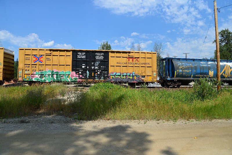 DSC_0595.JPG