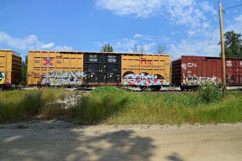 DSC_0602.JPG