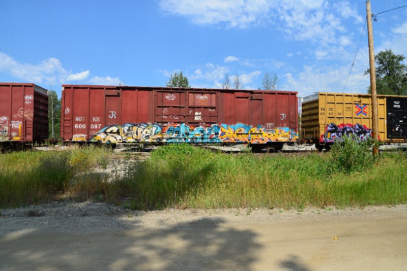 DSC_0605.JPG