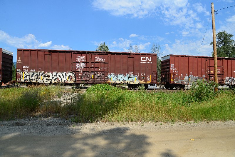 DSC_0608.JPG