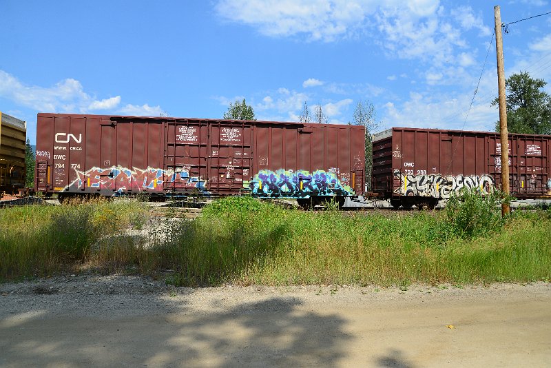 DSC_0609.JPG