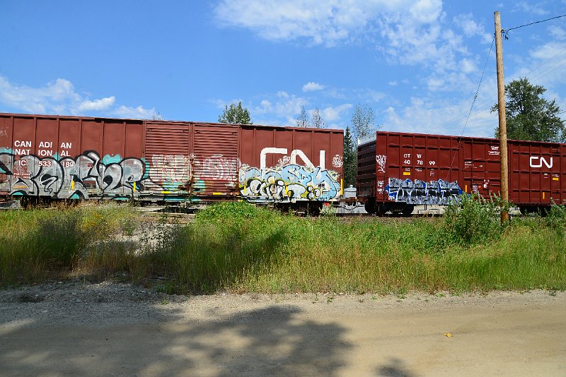 DSC_0623.JPG