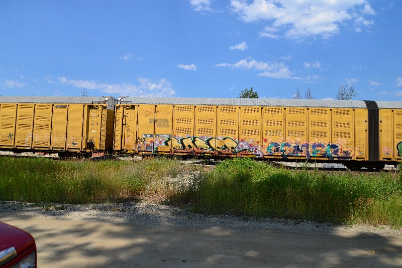 DSC_0660.JPG