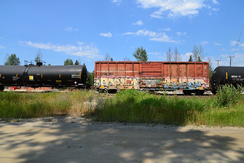 DSC_0702.JPG