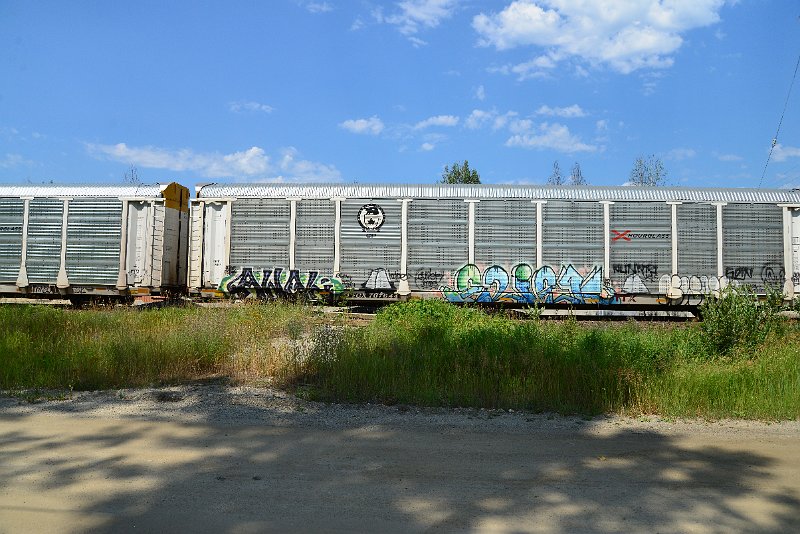 DSC_0768.JPG