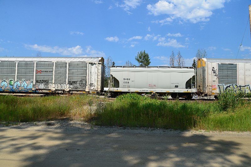 DSC_0769.JPG