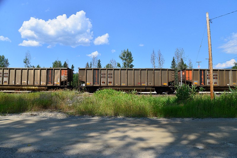 DSC_0819.JPG
