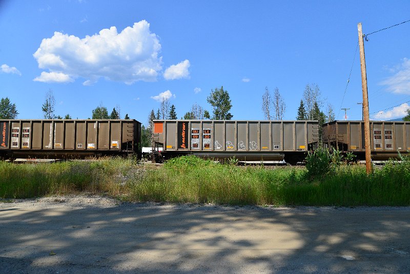 DSC_0821.JPG