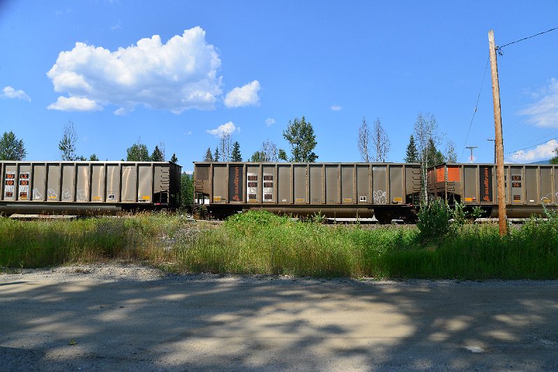 DSC_0822.JPG