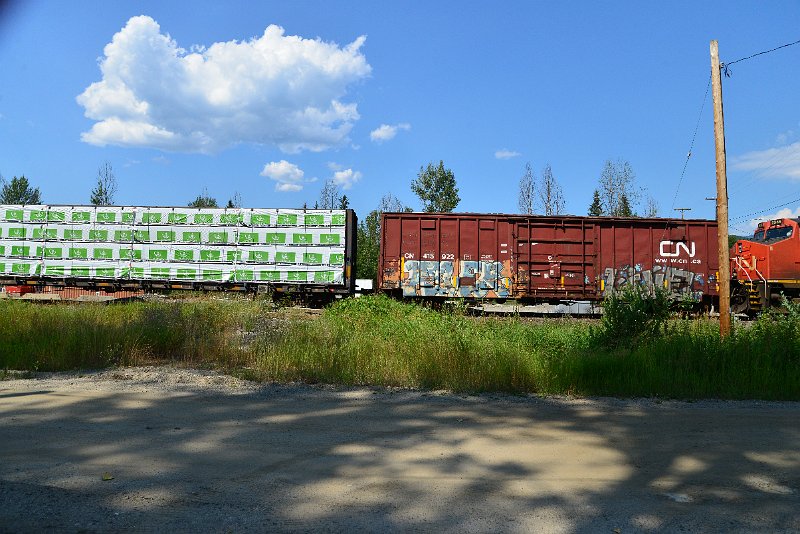 DSC_0930.JPG