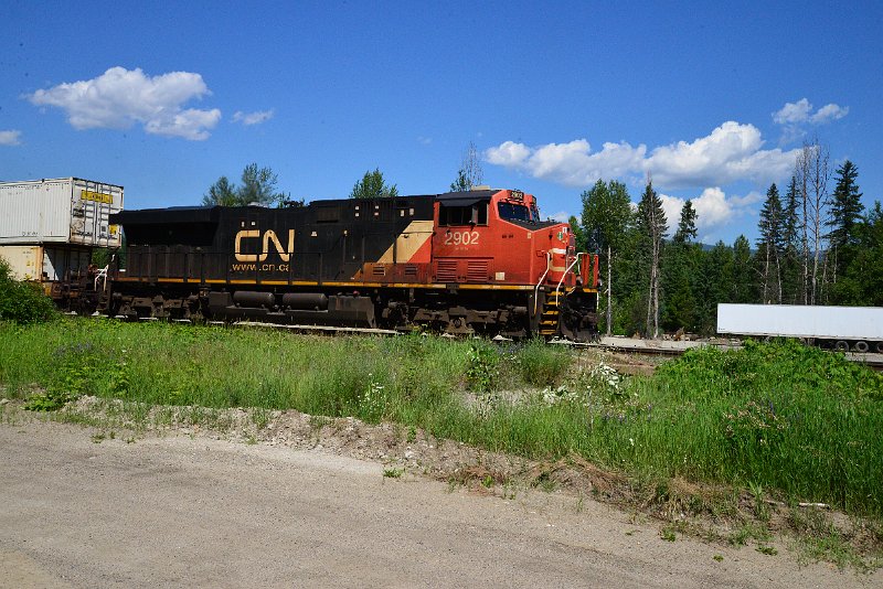 DSC_1349.JPG