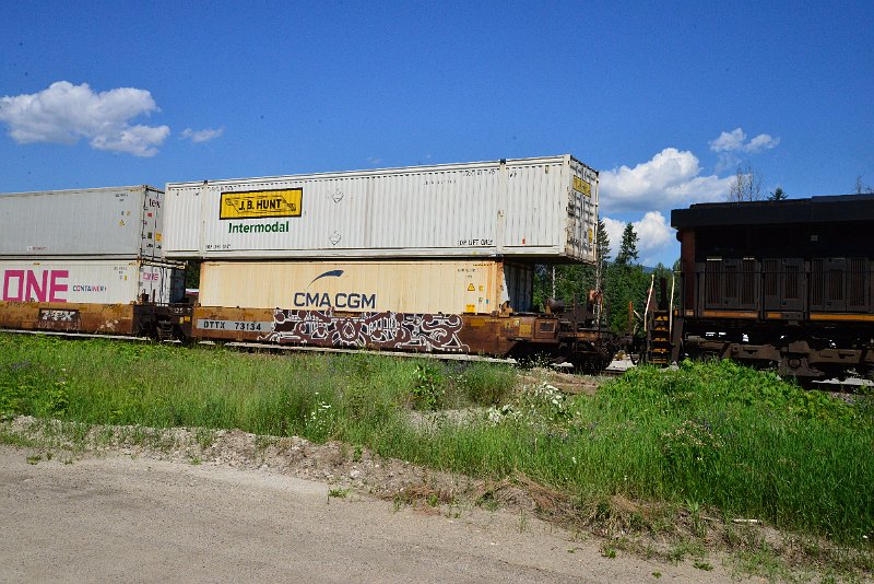 DSC_1350.JPG