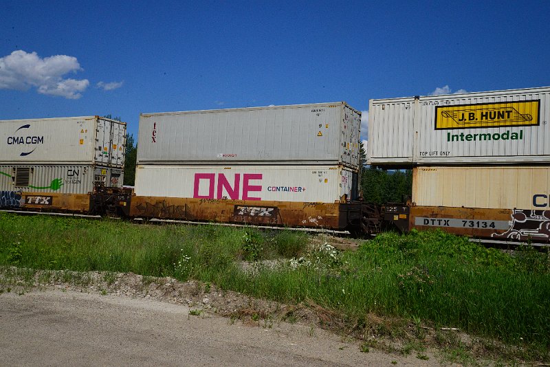 DSC_1351.JPG