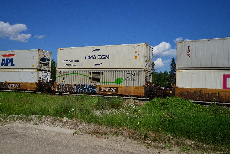 DSC_1352.JPG