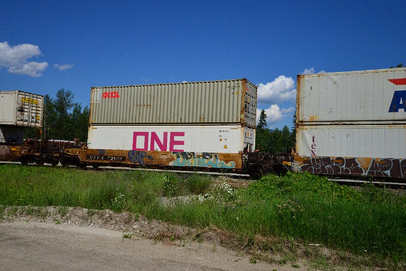 DSC_1354.JPG