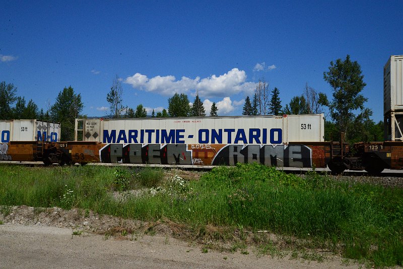 DSC_1364.JPG