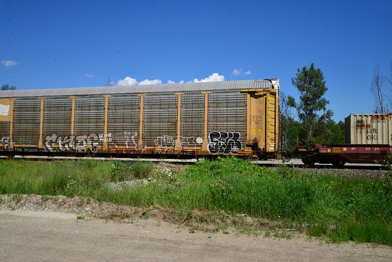 DSC_1367.JPG