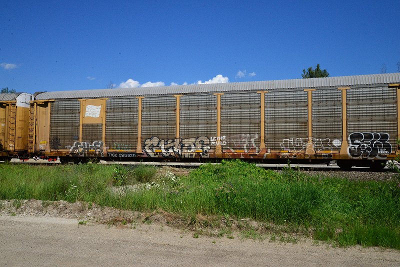 DSC_1368.JPG