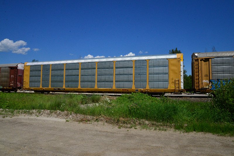 DSC_1370.JPG