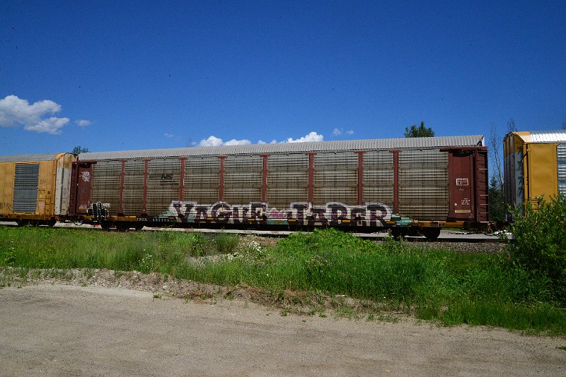 DSC_1371.JPG