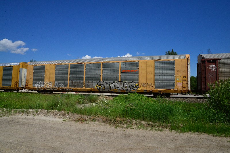 DSC_1372.JPG