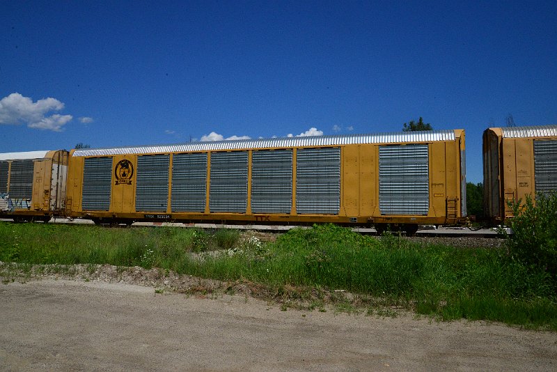 DSC_1373.JPG