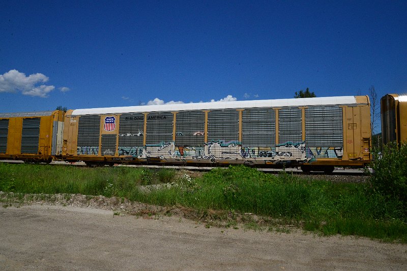 DSC_1374.JPG