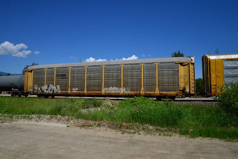 DSC_1376.JPG