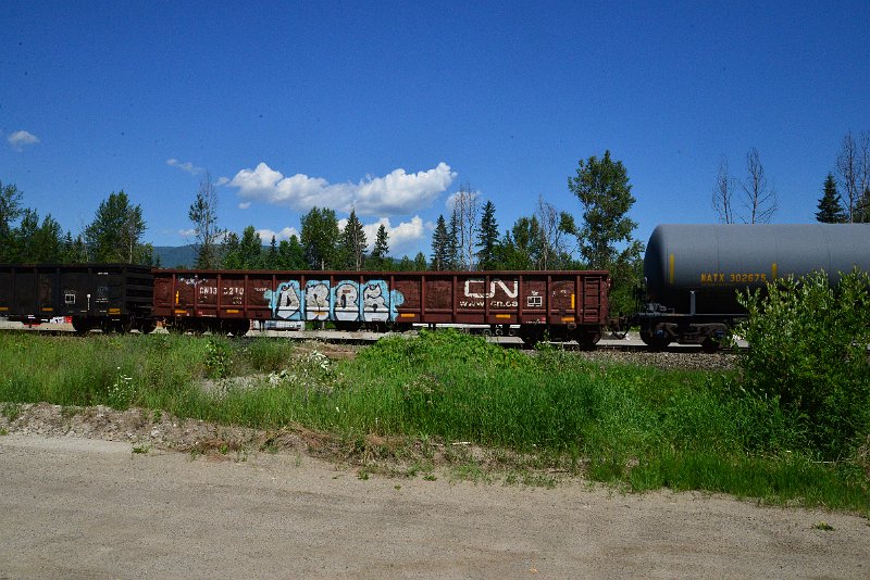 DSC_1403.JPG