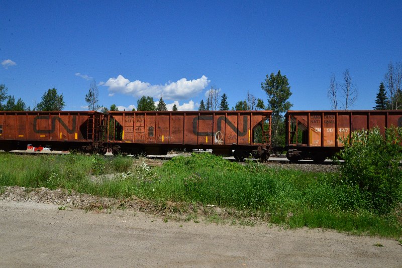 DSC_1407.JPG