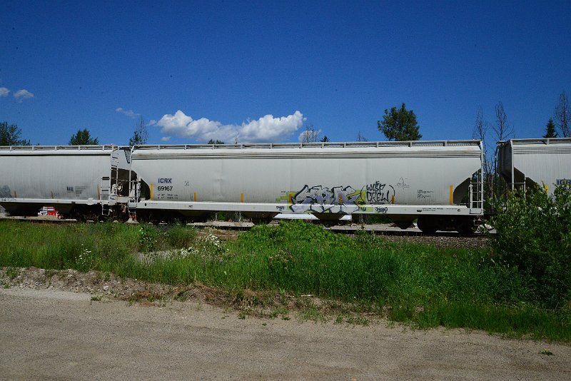DSC_1411.JPG