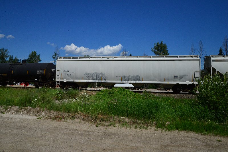 DSC_1412.JPG