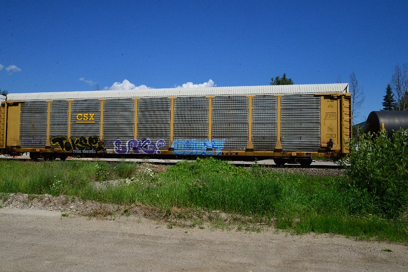 DSC_1418.JPG