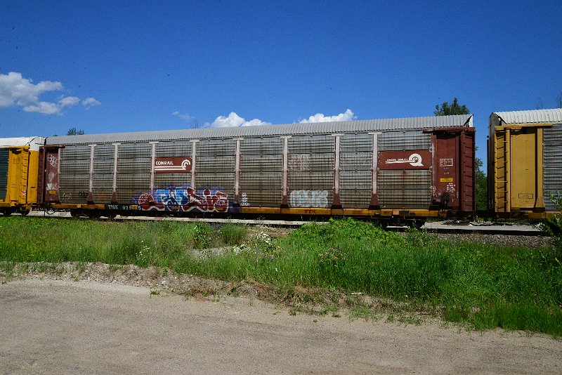 DSC_1419.JPG