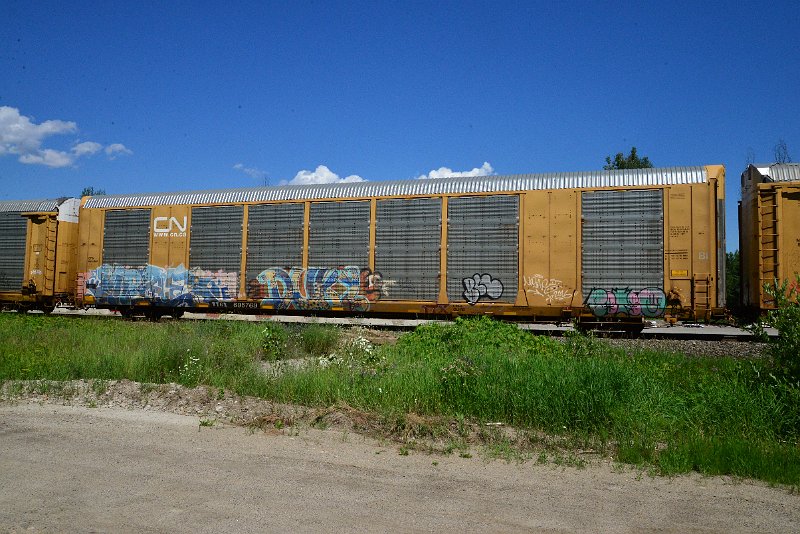 DSC_1423.JPG