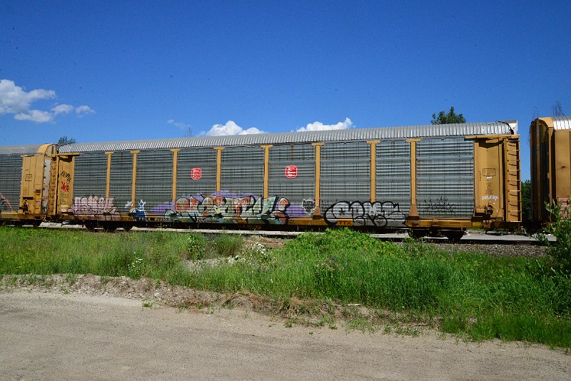 DSC_1424.JPG