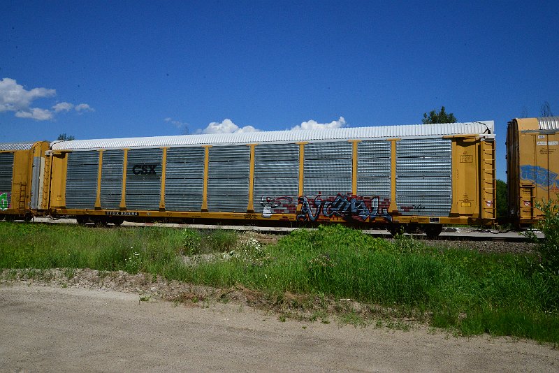 DSC_1426.JPG