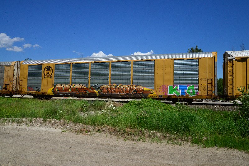 DSC_1427.JPG
