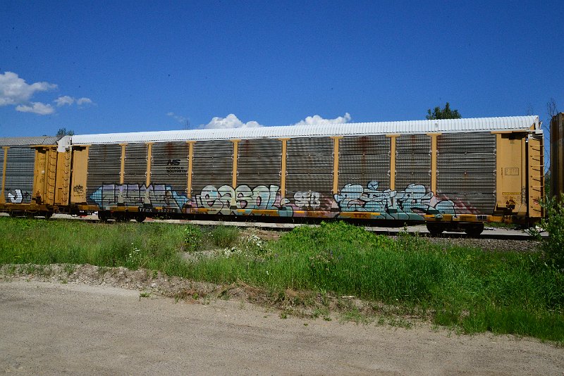 DSC_1431.JPG