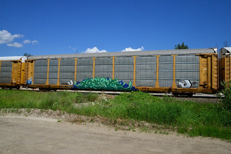 DSC_1432.JPG