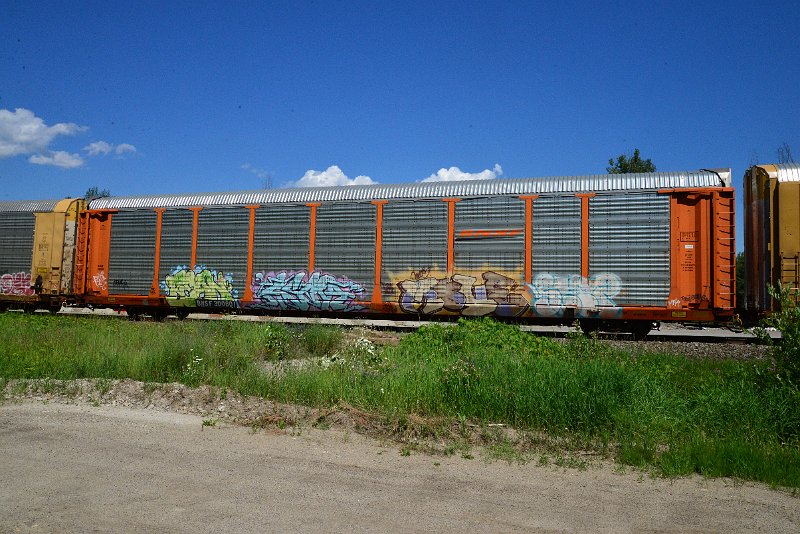 DSC_1435.JPG