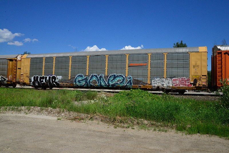 DSC_1436.JPG