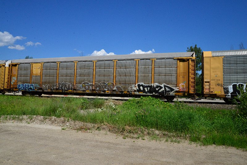 DSC_1437.JPG