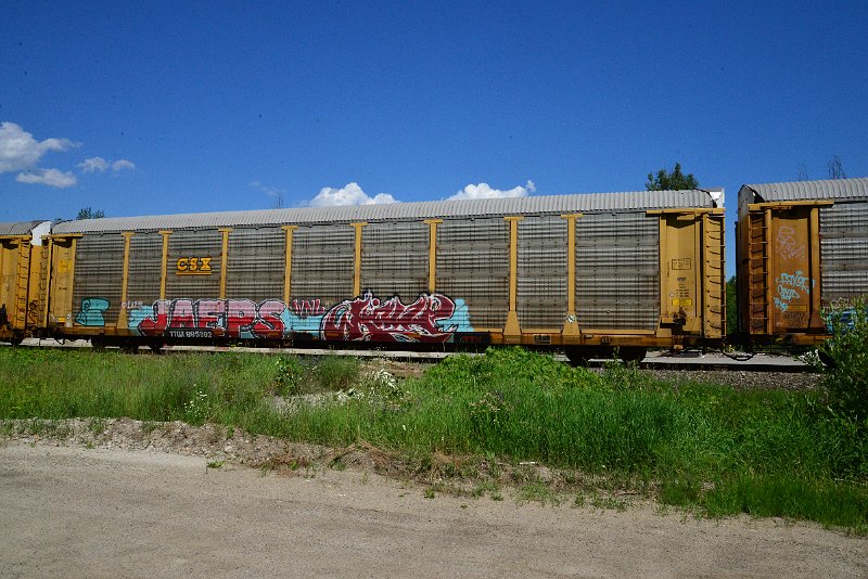 DSC_1438.JPG