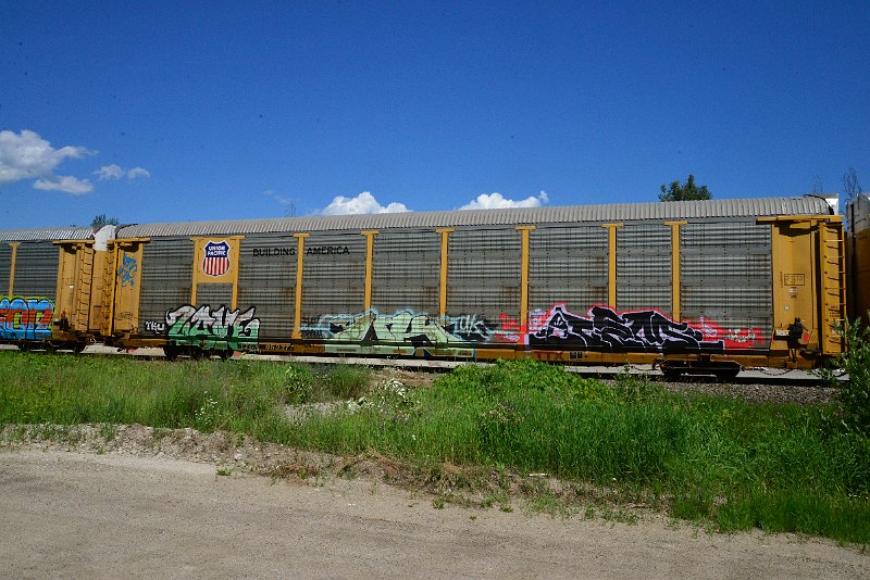 DSC_1439.JPG