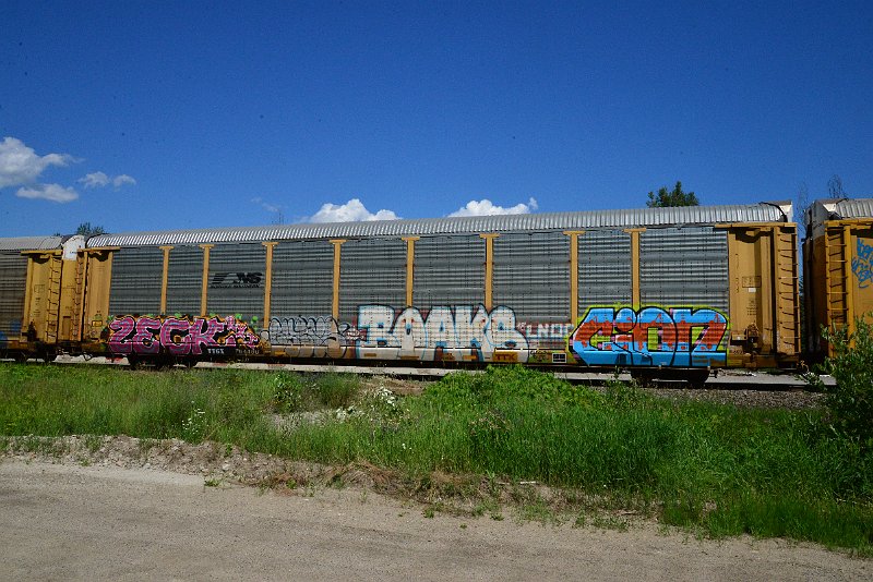 DSC_1440.JPG