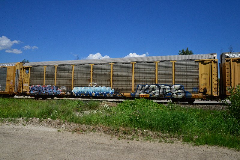 DSC_1441.JPG