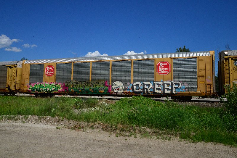 DSC_1442.JPG