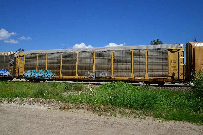 DSC_1443.JPG